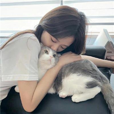 六个说谎的大学生